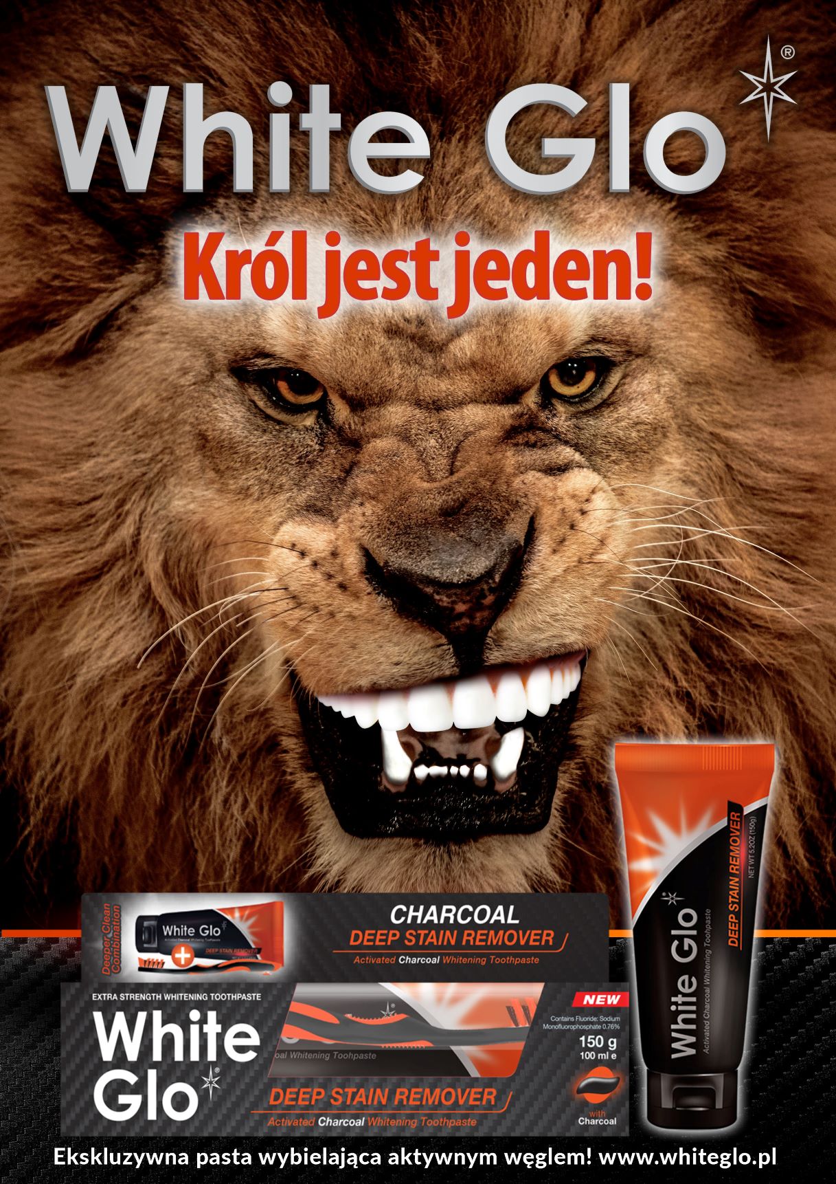 król jest jeden Plakat maly