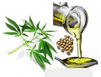 Hemp_seeds_oil_vs._other_vegetable_oils